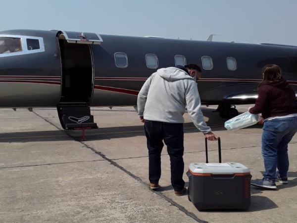 Ablaci&oacute;n multiorg&aacute;nica de juje&ntilde;o salva a tres pacientes graves