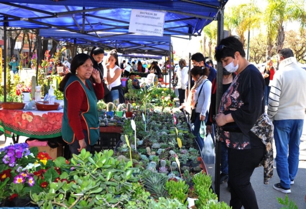 Appojuy celebr&oacute; 12 a&ntilde;os de trabajo en el Paseo de las Plantas