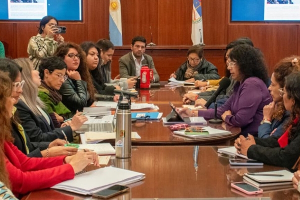 El Gobierno de Jujuy presentó el informe de la ley Iara