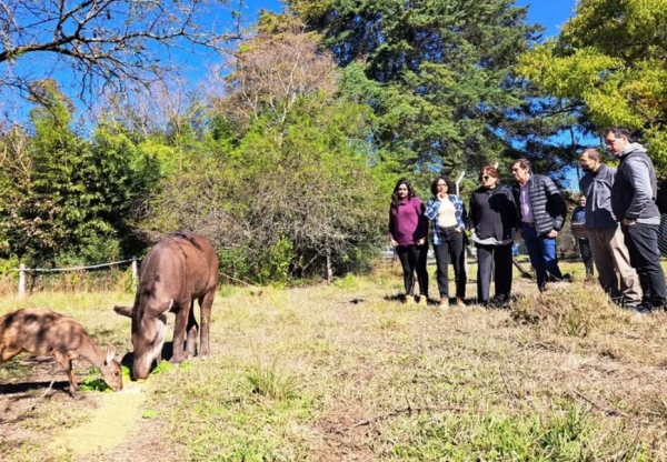 "Killa", el nombre elegido para la Tapir recuperada