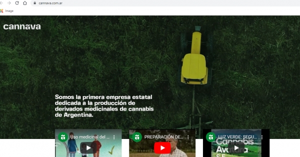 CANNAVA EN LA WEB