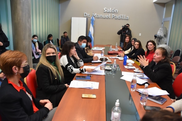Proyecto para declarar el D&iacute;a de la Mujer Juje&ntilde;a