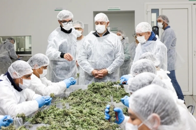 CANNAVA: Jujuy ya exporta flor de cannabis de grado farmac&eacute;utico a Portugal, Alemania y Australia