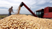 La suba de la soja y el ma&iacute;z podr&iacute;an generar US$ 10.000 millones extra en exportaciones