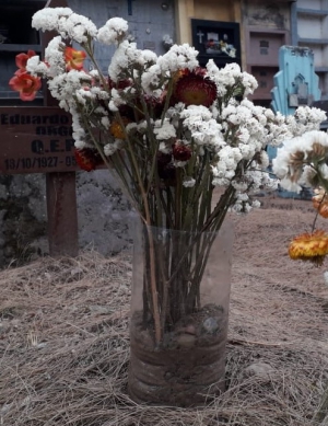 Contra el Dengue, tambi&eacute;n en la visita a los cementerios