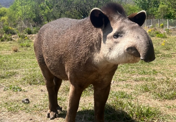 CAFAJu. 9 a&ntilde;os al servicio de la conservaci&oacute;n