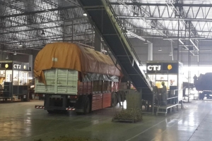 Cooperativa de Tabacaleros ajusta el precio de acopio con un incremento del 50% sujeto a reajuste