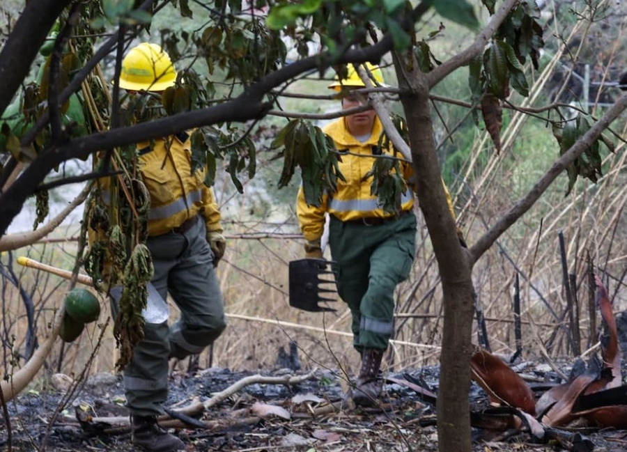 Incendios en Jujuy: La urgencia de profundizar la prevención