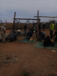 AUSPICIOSO INICIO DE TEMPORADA DE CHAKUS