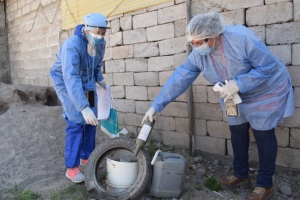 En 15 d&iacute;as, se confirmaron solo 3 nuevos casos de dengue