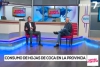 Rizzotti y la pr&oacute;rroga de ley de Biocombustibles