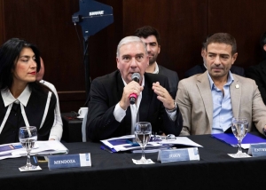 Consejo Federal de Salud analiz&oacute; vacunaci&oacute;n antigripal y la situaci&oacute;n epidemiol&oacute;gica por chikungunya