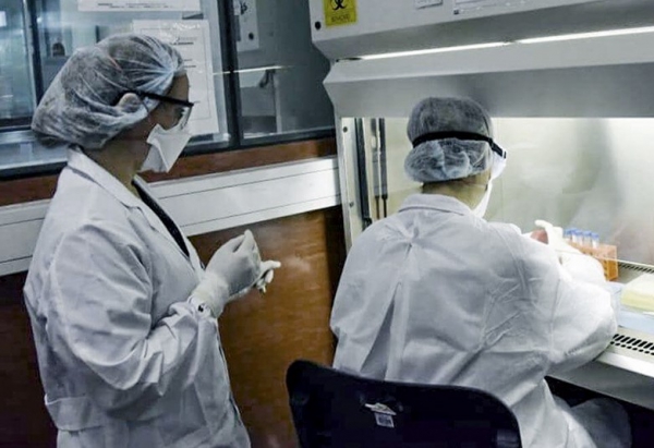 Jujuy: hasta la fecha se realizaron 51.351 test PCR