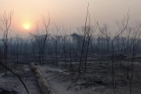 Se logr&oacute; reducir el avance del fuego en las Yungas