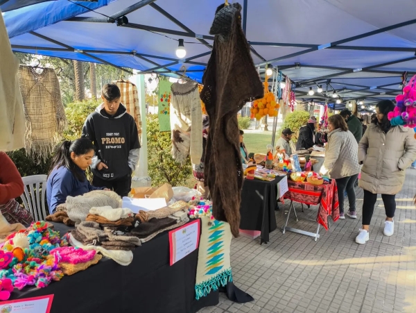 Feria y Trueque "Manos Ind&iacute;genas" en Plaza Espa&ntilde;a