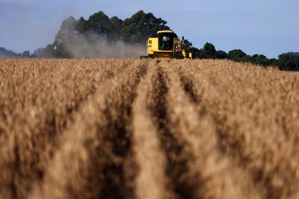 El precio de la soja volvió a subir y llegó al nivel más alto del último año