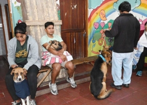 Quirófano Externo de Zoonosis recorrerá distintos barrios