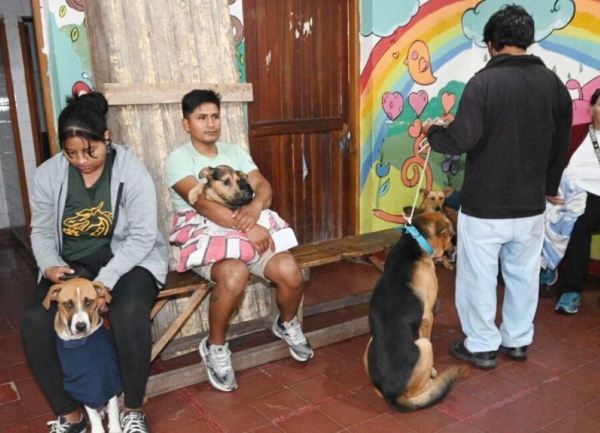 Quir&oacute;fano Externo de Zoonosis recorrer&aacute; distintos barrios