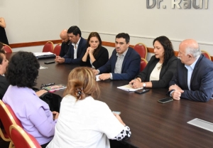 Muerte perinatal. Diputados analizan adhesión a la Ley Johanna