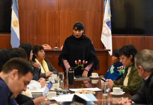 Diputados recibi&oacute; a Comunidad Pueblo Coya de Caspal&aacute;