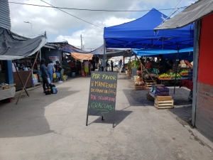 Actualmente hay cuatro ferias autorizadas para la venta de alimentos