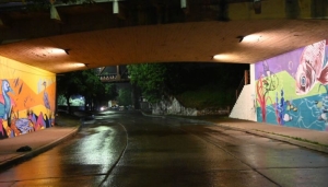 Obra art&iacute;stica realza la biodiversidad del Xibi Xibi