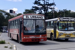 &ldquo;Transporte P&uacute;blico del Interior cr&oacute;nica de una crisis con responsables&rdquo;