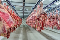 El Gobierno extendi&oacute; la quita temporal de retenciones tambi&eacute;n a las carnes bovinas y av&iacute;colas