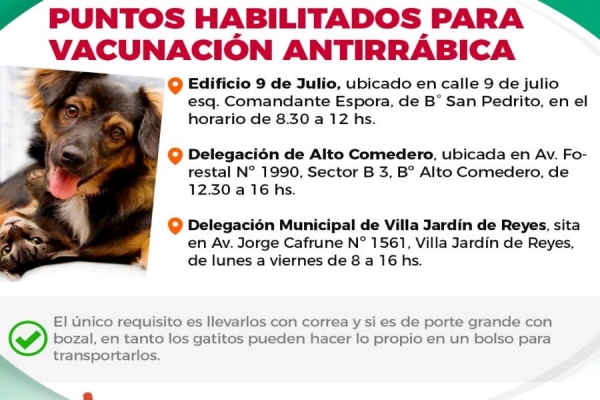 Comenz&oacute; campa&ntilde;a de vacunaci&oacute;n antirr&aacute;bica