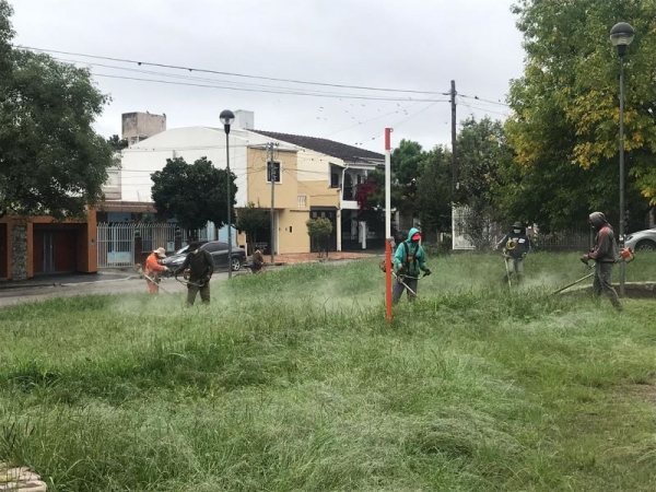 Dengue: Desmalezamiento en barrios capitalinos