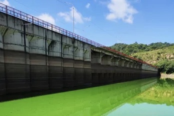 Dique los Alisos: Se analizan muestras por coloraci&oacute;n del agua