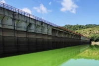 Dique los Alisos: Se analizan muestras por coloraci&oacute;n del agua