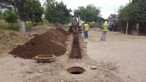 Arrayanal tiene red cloacal