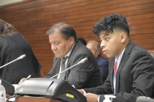 Los Legisladores aprobaron 12 leyes, 11 Declaraciones de Inter&eacute;s y 3 pedidos de informe