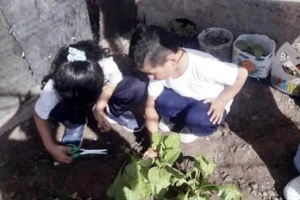 Taller de cosecha de hortalizas en los JIN 6 y JIN 17