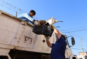 Dengue: Salud reforz&oacute; el descacharrado