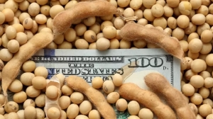 Caputo ahora analiza un nuevo d&oacute;lar soja para evitar otra devaluaci&oacute;n