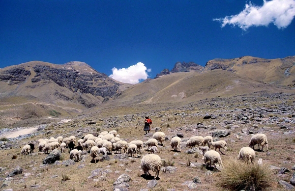 UEP: convocatoria a productores para designar representantes de cada regi&oacute;n