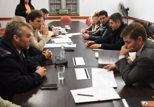 Diputados. Comisiones trabajaron en distintos proyectos legislativos