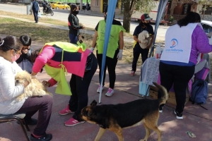 Contin&uacute;a la Campa&ntilde;a de Vacunaci&oacute;n Antirr&aacute;bica recorriendo los barrios