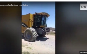 Los Grobos ahora defaultearon USD 30 millones y temen quiebras masivas en el campo