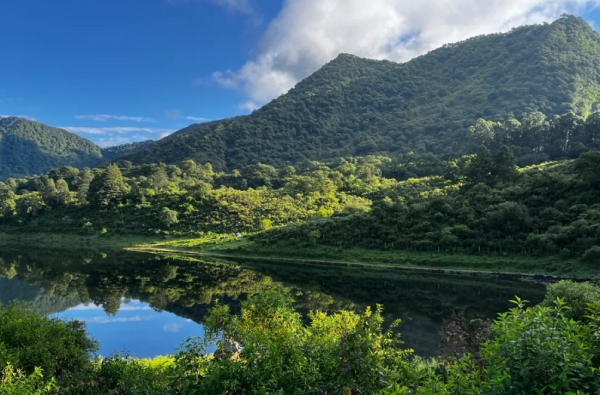 Reuni&oacute;n regional para la conservaci&oacute;n de las Yungas