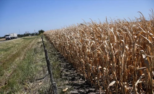 Agro: el debate por las retenciones sigue abierto, pero levantar&aacute;n algunas trabas