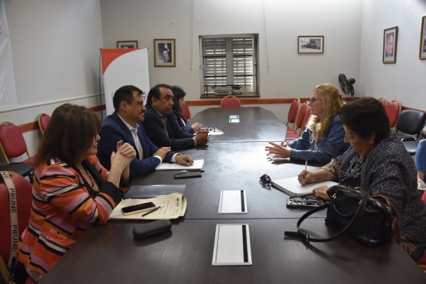 La Comisi&oacute;n de Salud recibi&oacute; a la representante de la Sociedad Argentina de Nefrolog&iacute;a en Jujuy &nbsp;